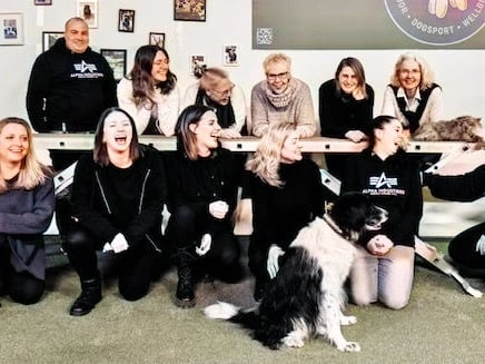 Eure eigene Gameshow mit Quizify - Quiz- & Gameshows - in Weilheim an der Teck - Bild 1