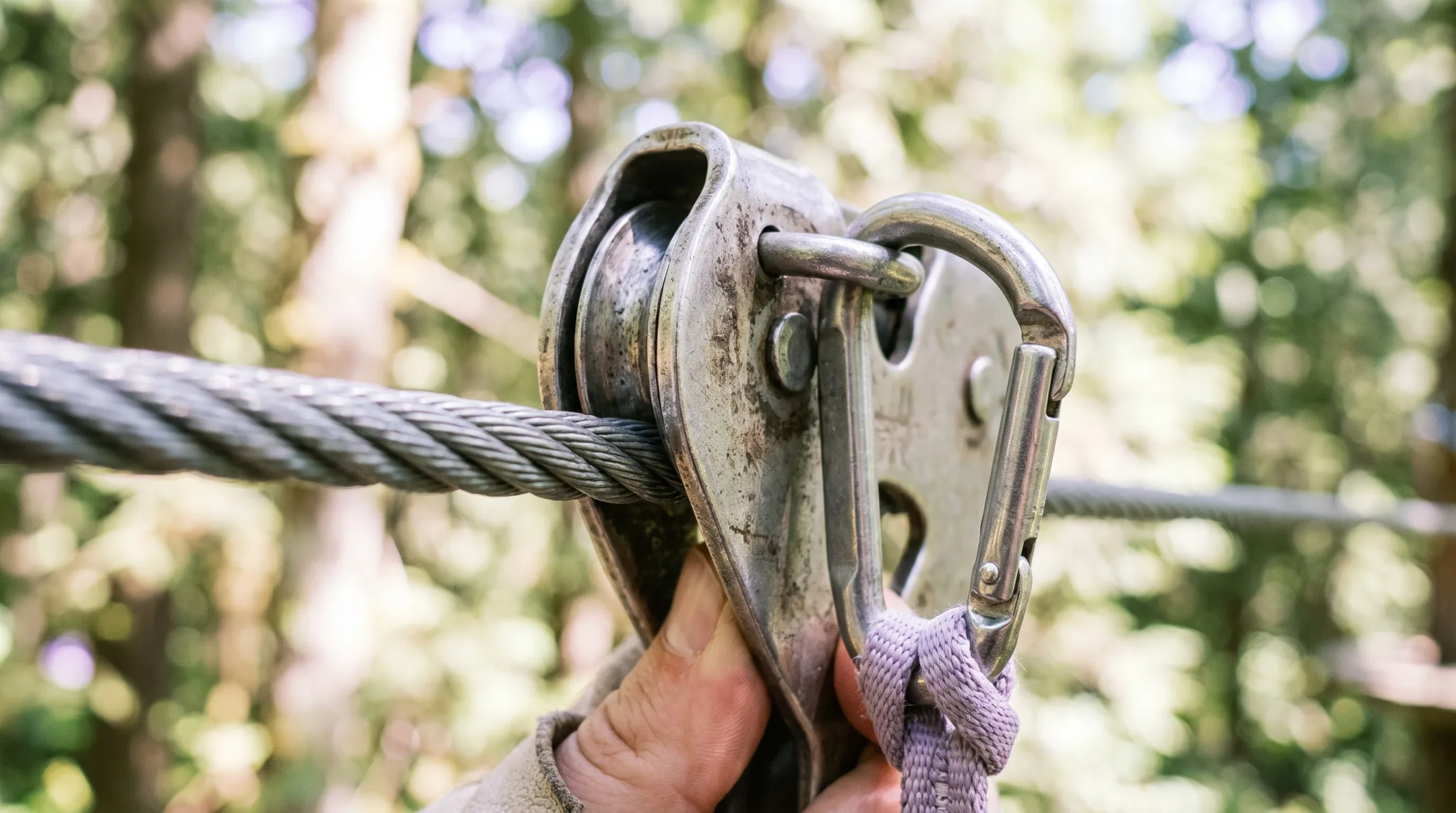 Karabiner am Sicherungsseil hoch im Wald bei einem Teamevent in Köln